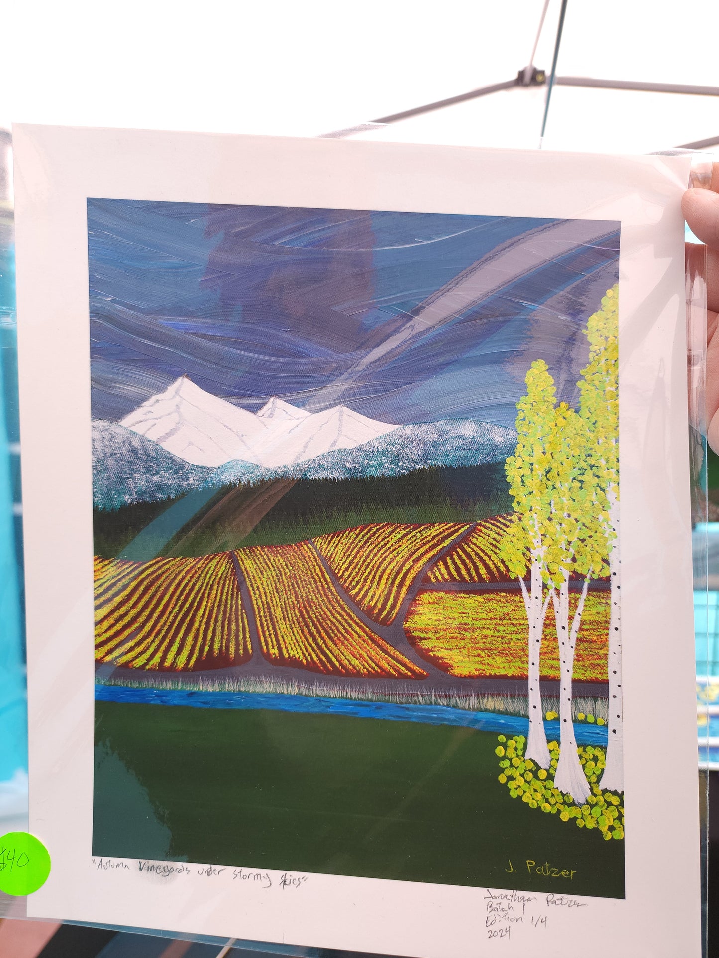 Autumn Vineyards under Stormy Skies print