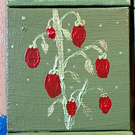 Cottagecore Roma Tomatoes with magnetic backing
