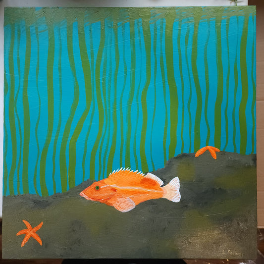 Canary Rockfish and Ocher Sea Stars
