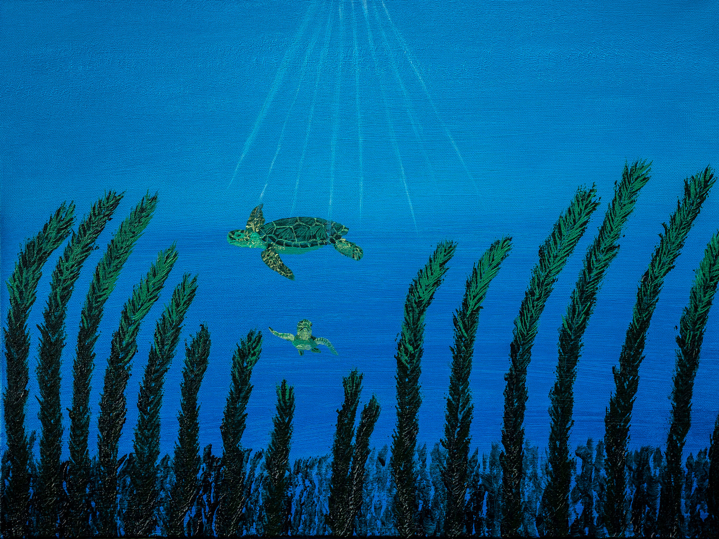 Sea Turtles
