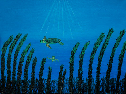 Sea Turtles