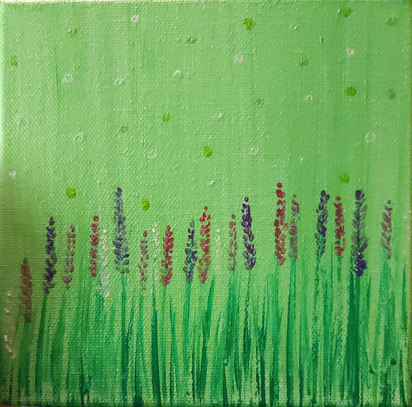 Field of Foxglove