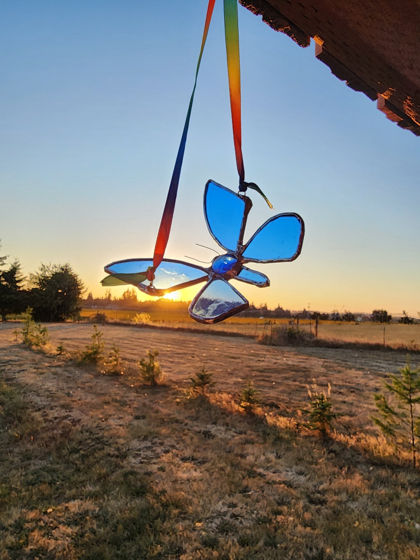 Blue Butterfly